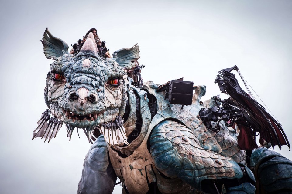 Dragon de Calais en gros plan