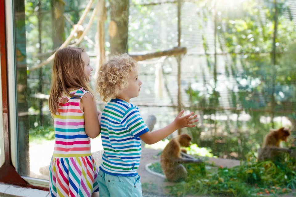 Enfants dans un zoo
