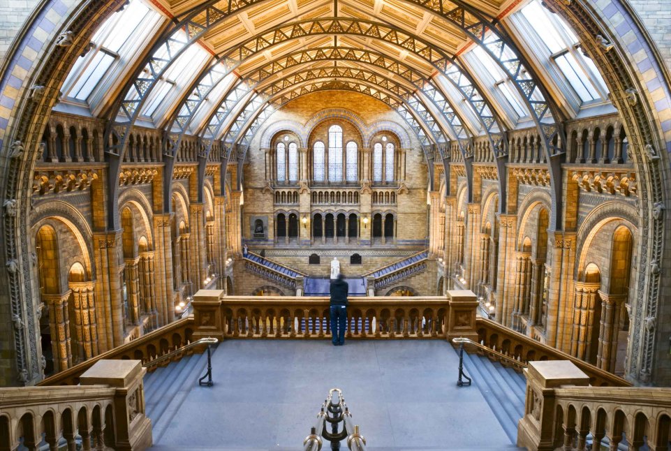 https://www.sncf-connect.com/assets/styles/scale_max_width_961/public/media/2021-10/national-history-museum-londres.jpg?itok=_YDVrGHG