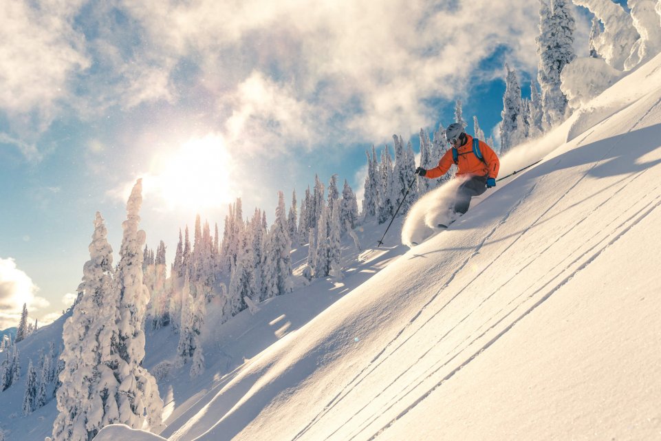 Skieur pratiquand le free ride au milieu d'un paysage de sapins