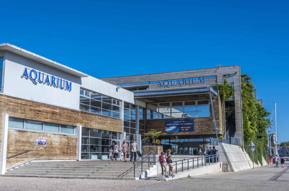 aquarium de la rochelle