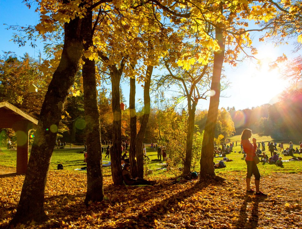 Parc de la Rochette à Gap 