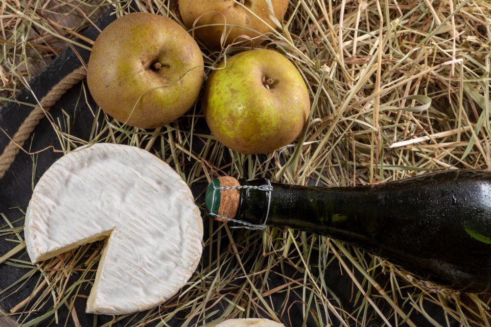 Spécialités normandes cidre pommes et camembert
