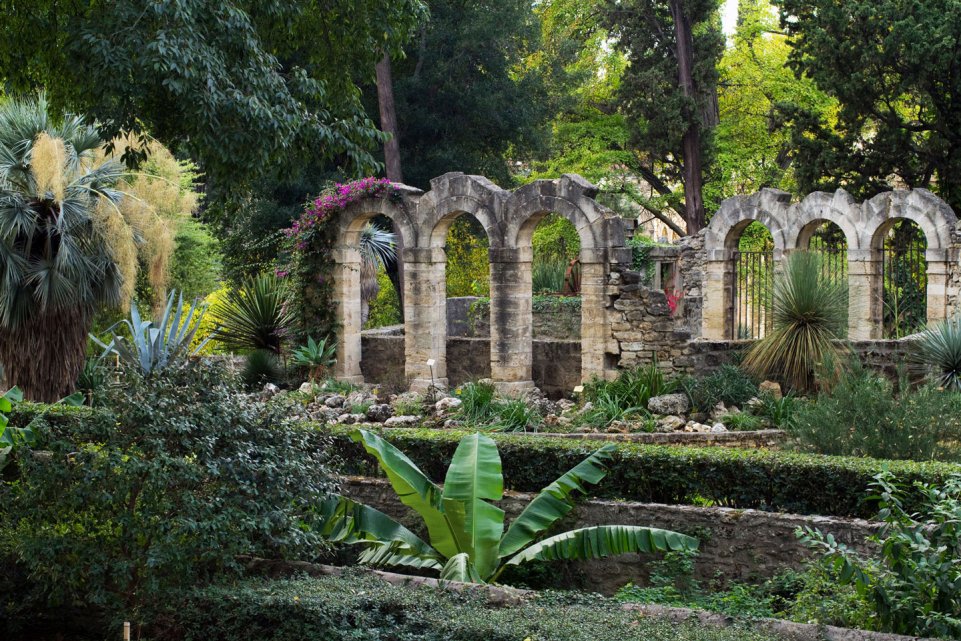 Jardin des plantes de Montpellier 