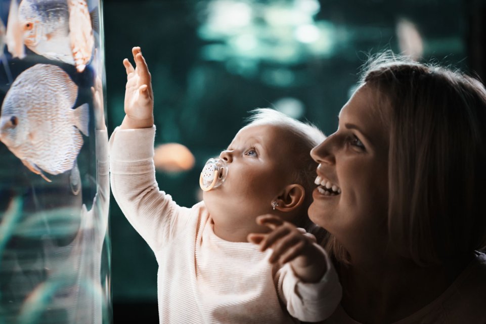 Une mère et son bébé devant un aquarium de poissons