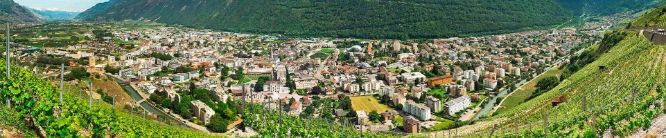 Train Martigny-Ville