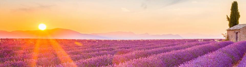 Treno Provenza - Alpi - Costa Azzurra