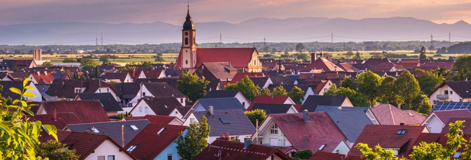 Train Ringsheim/Europa-Park