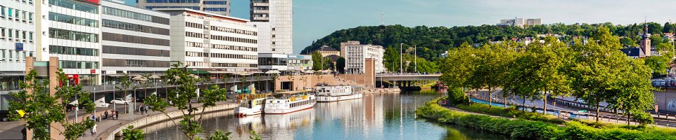 Zug Saarbrücken