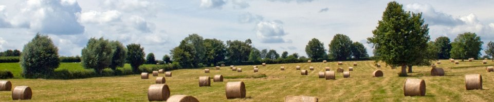 Trein TGV Haute Picardie